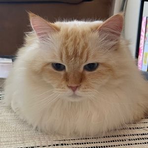 Meet your Posher, Kate